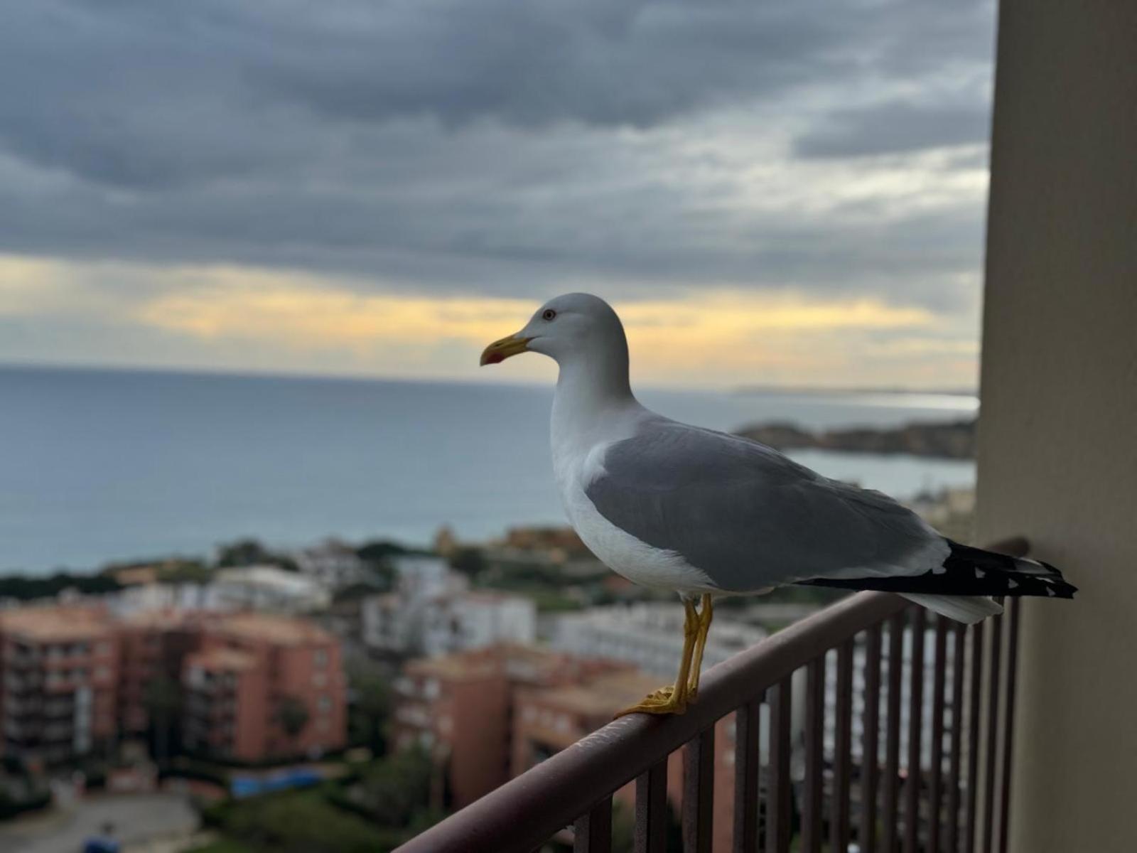 Sofiamarholidays - Casa Praia Mar ポルティマン エクステリア 写真