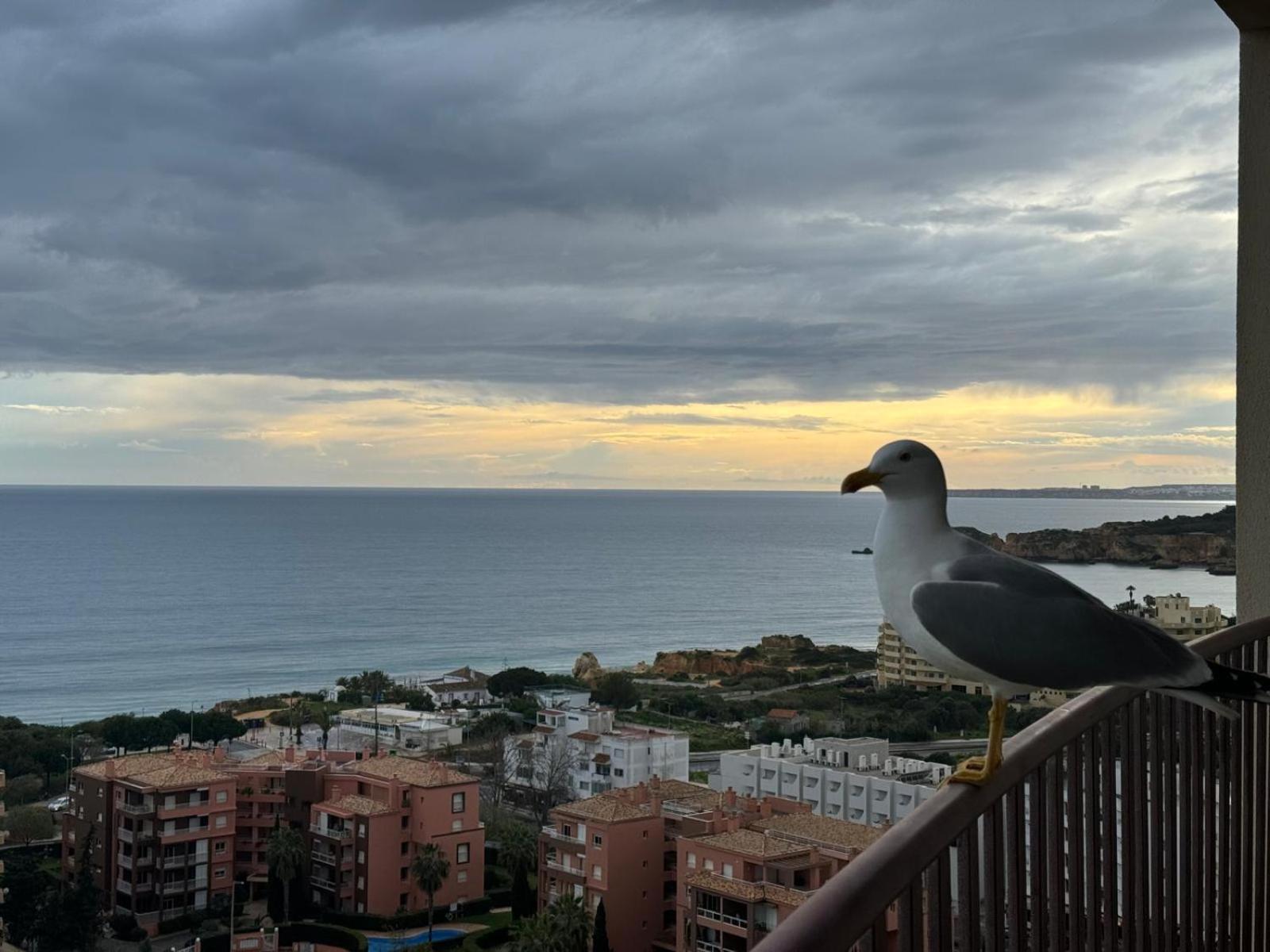 Sofiamarholidays - Casa Praia Mar ポルティマン エクステリア 写真